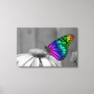 Schmetterling Leinwanddruck