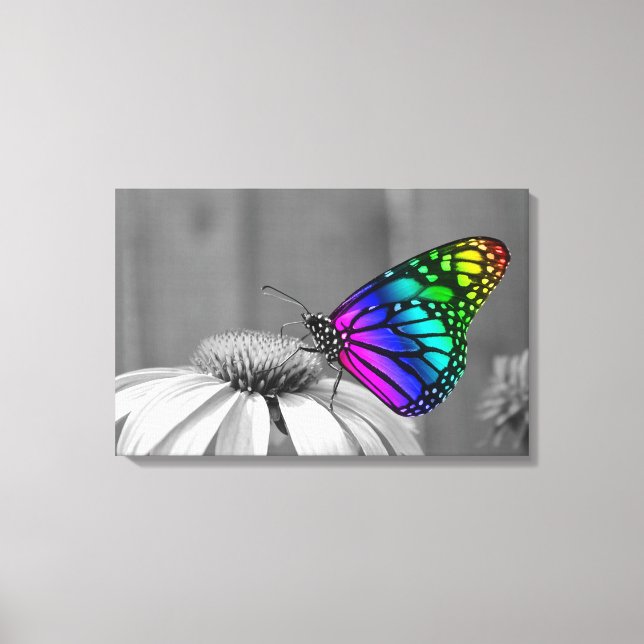 Schmetterling Leinwanddruck (Vorderseite)