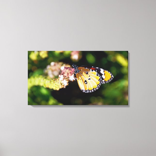 Schmetterling Leinwanddruck (Vorderseite)