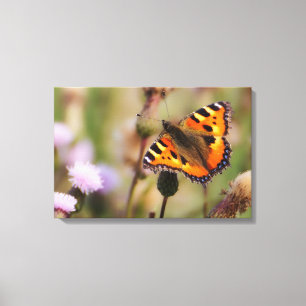 Schmetterling Leinwanddruck
