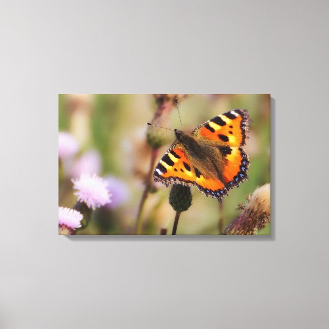 Schmetterling Leinwanddruck (Vorderseite)