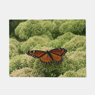 Schmetterling Limenitis archippus Schöne Naturfoto Fußmatte