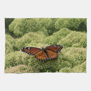 Schmetterling Limenitis archippus Schöne Naturfoto Geschirrtuch