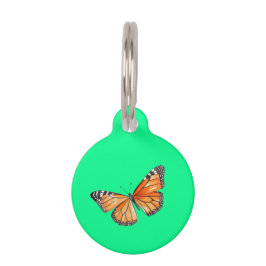 Schmetterling Limettengrün Haustiermarke
