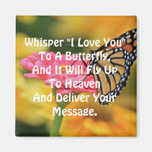 Schmetterling Magnet