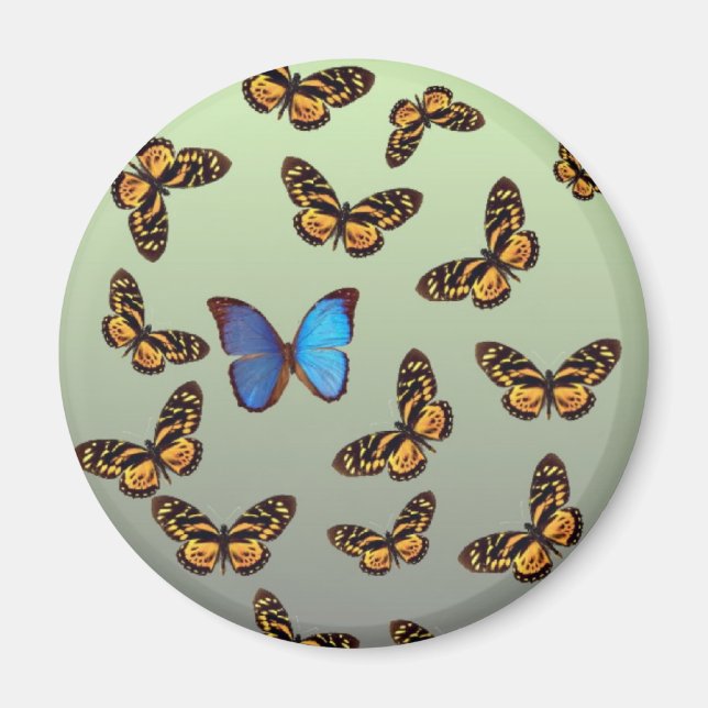 Schmetterling Magnet (Vorne)