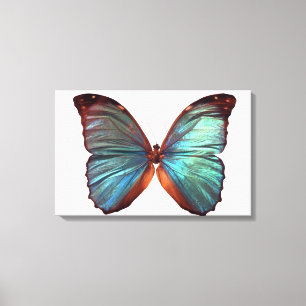 Schmetterling mit Flügelverbreitung Leinwanddruck