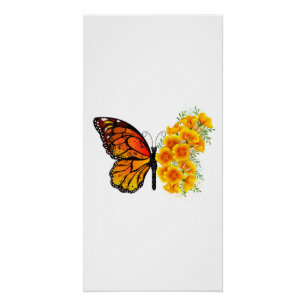Schmetterling mit gelbem Kalifornischen Klatschmoh Poster