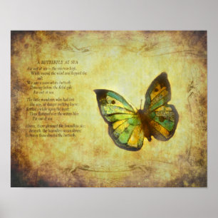 Schmetterling mit Poster