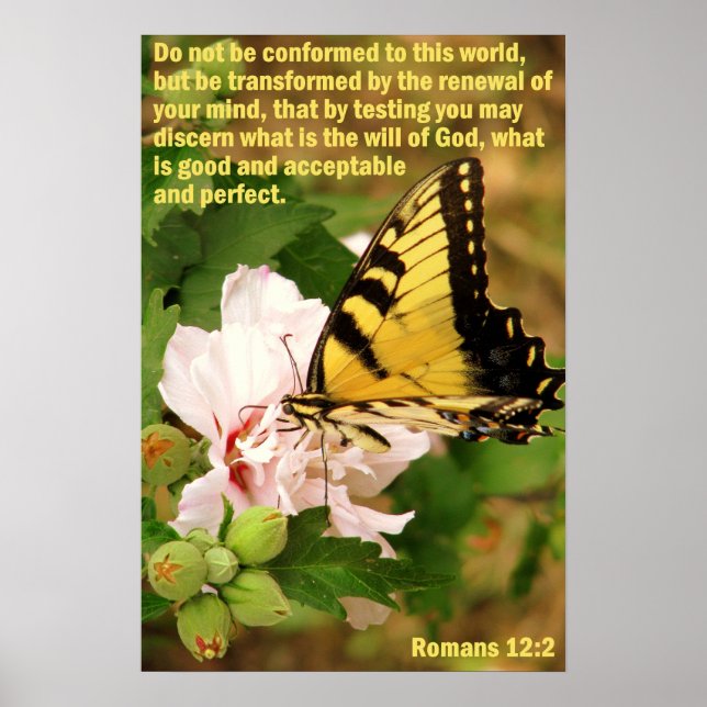 Schmetterling mit Römern 12:2 Poster (Vorne)