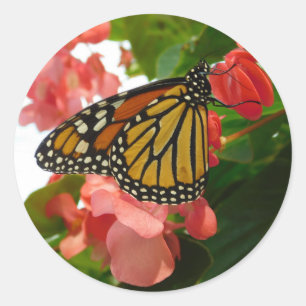 Schmetterling mit roten Blume Runder Aufkleber