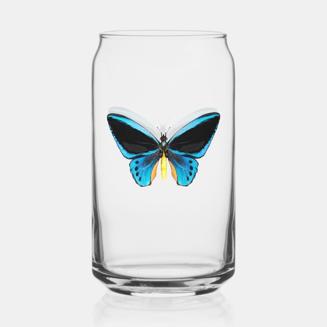 Schmetterling mit Vogelflügeln Dosenglas (Vorderseite)
