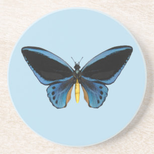 Schmetterling mit Vogelflügeln Untersetzer