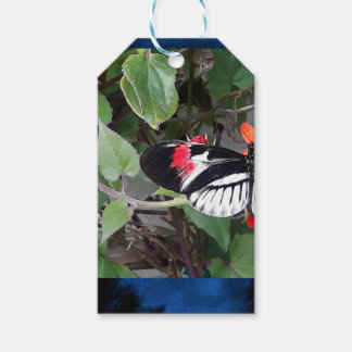 Schmetterling mit Zebraschwanz Geschenkanhänger