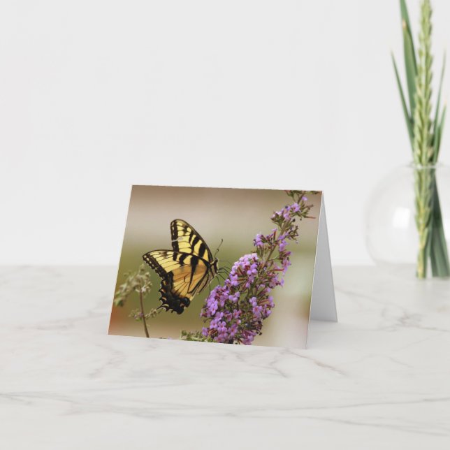 Schmetterling-Mitteilungskarten Karte (Vorderseite)