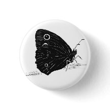 Schmetterling Monochrom