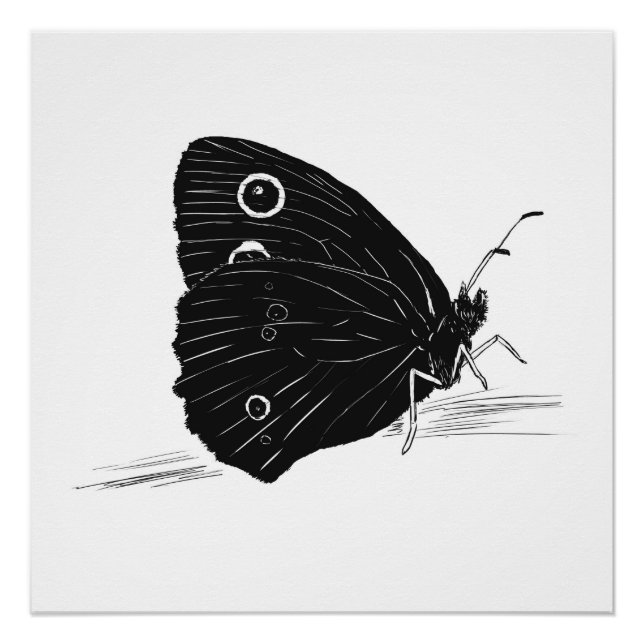 Schmetterling Monochrome Druck / Poster (Vorderseite)