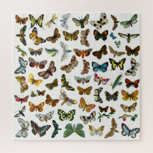 Schmetterling, Moth und Raupe Collage Jigsaw Puz Puzzle