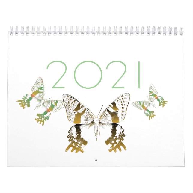 Schmetterling - Mount Kalender (Titelbild)