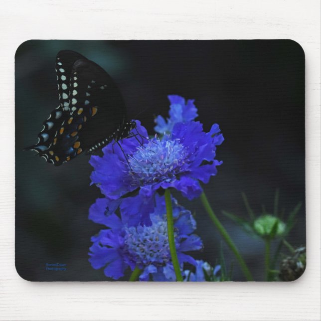 Schmetterling Mousepad (Vorne)
