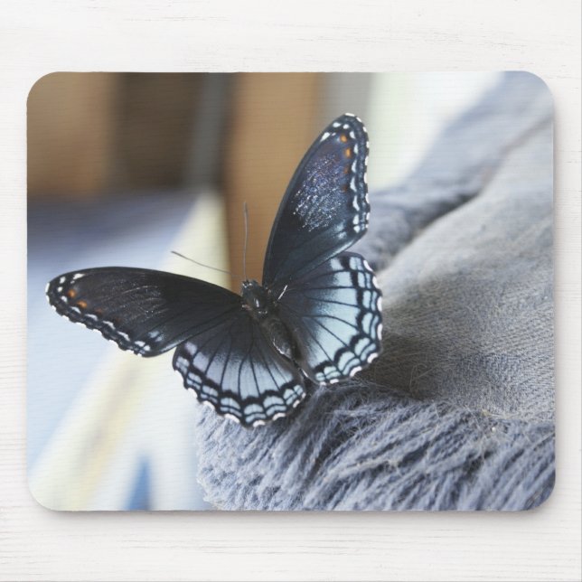 Schmetterling Mousepad (Vorne)
