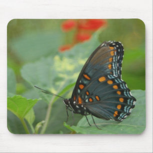 Schmetterling Mousepad