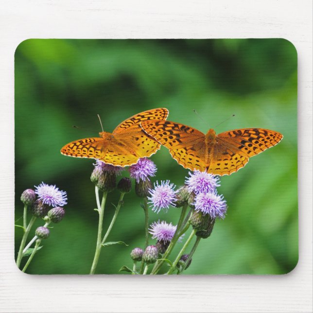 Schmetterling Mousepad (Vorne)