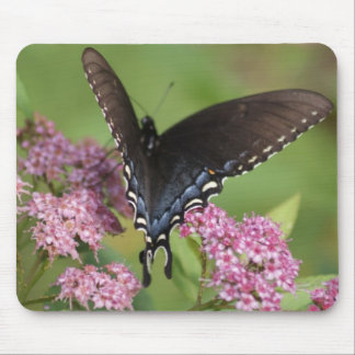 Schmetterling Mousepad