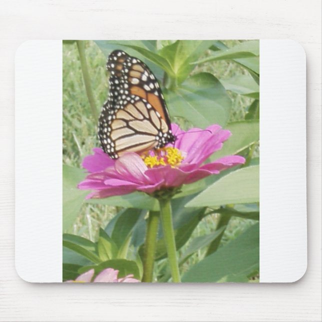 Schmetterling Mousepad (Vorne)