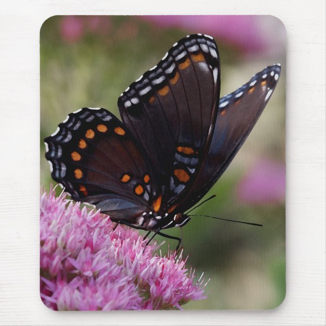 Schmetterling mousepad (Vorne)