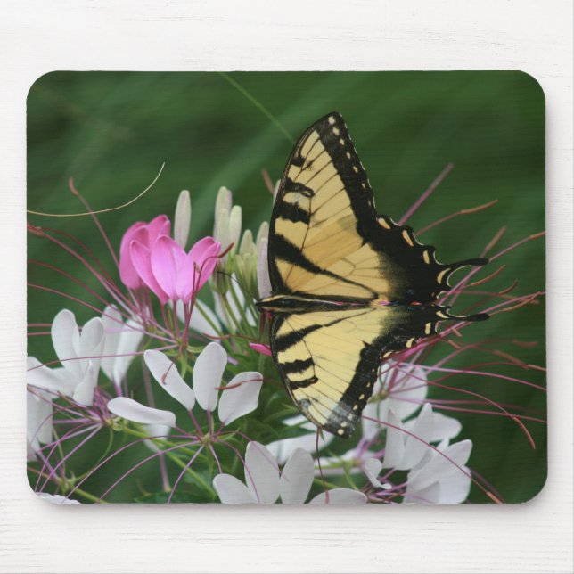 Schmetterling Mousepad (Vorne)