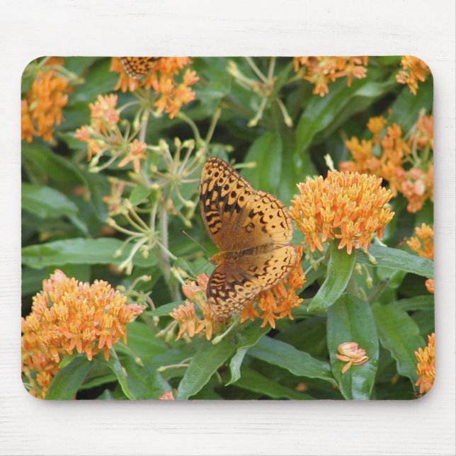 Schmetterling Mousepad (Vorne)