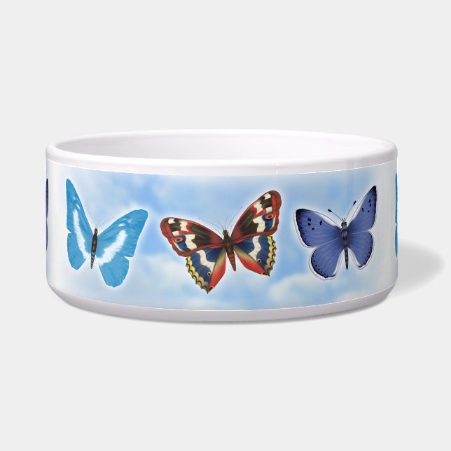 Schmetterling Napf (Vorderseite)