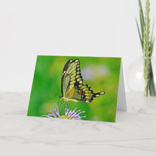 Schmetterling - Neujahrssegnung Feiertagskarte