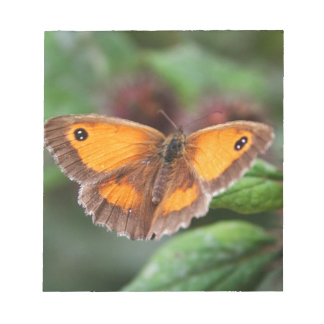 Schmetterling Notizblock (Vorderseite)