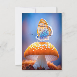 Schmetterling Pilzruhe Stille Stille Natur Friedli Dankeskarte