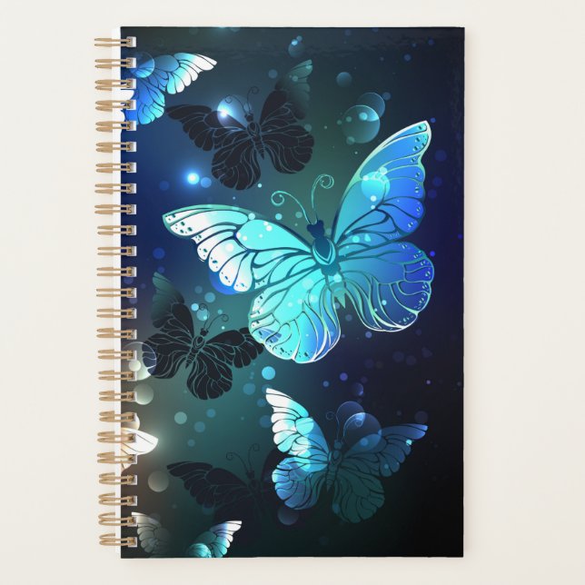 Schmetterling Planer (Vorderseite)