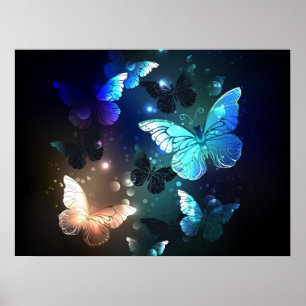 Schmetterling Poster