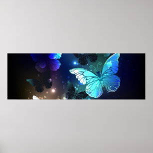 Schmetterling Poster