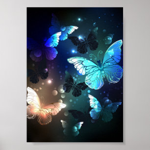 Schmetterling Poster
