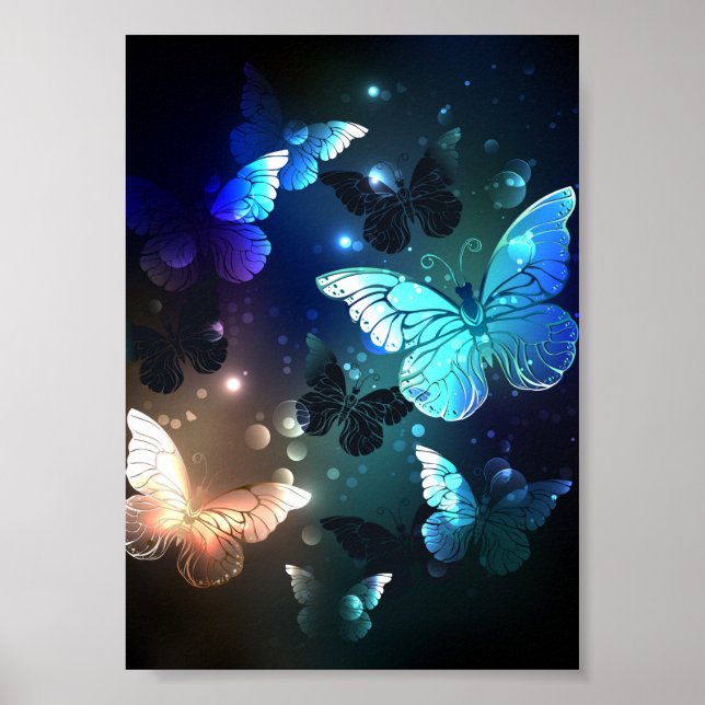 Schmetterling Poster (Vorne)