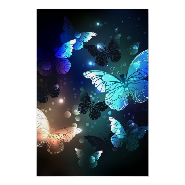 Schmetterling Poster (Vorderseite)