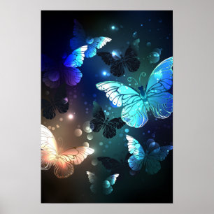 Schmetterling Poster