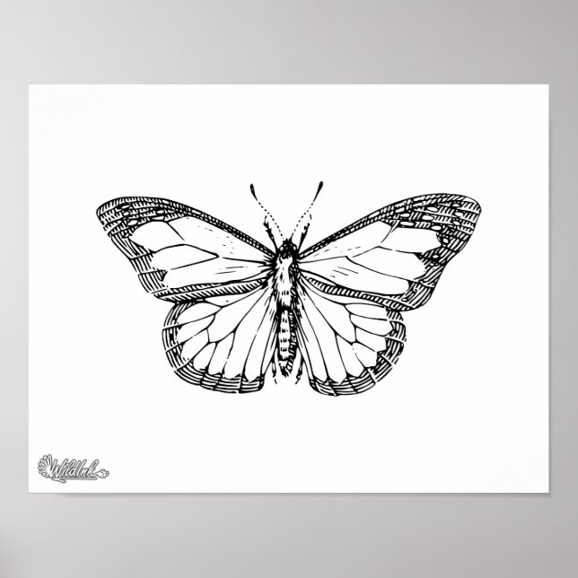 Schmetterling Poster (Vorne)