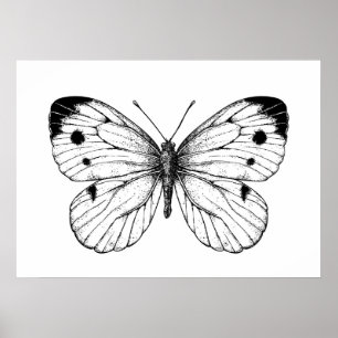 Schmetterling Poster