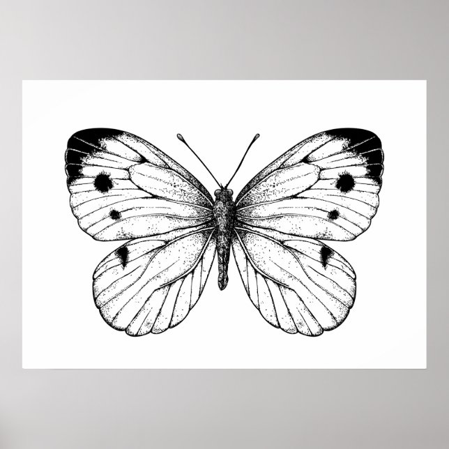 Schmetterling Poster (Vorne)