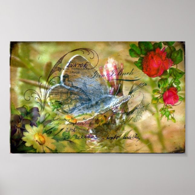 Schmetterling Poster (Vorne)