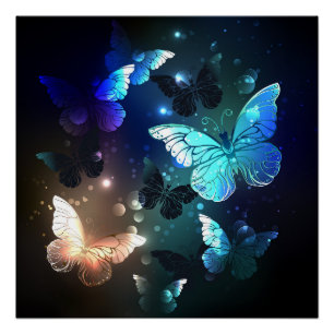Schmetterling Poster