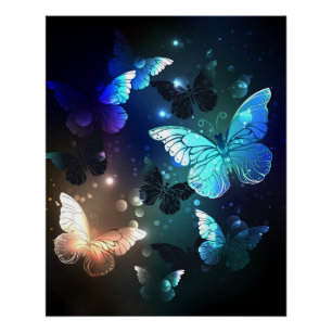 Schmetterling Poster