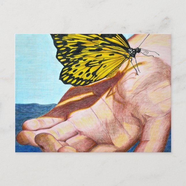 Schmetterling Postkarte (Vorderseite)